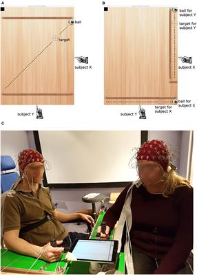 Neuronal Oscillatory Signatures of Joint Attention and Intersubjectivity in Arrhythmic Coaction